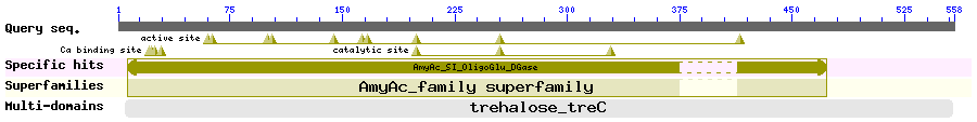 CD search result summary